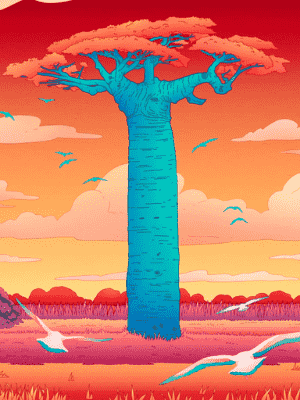 Grandidier’s Baobab tree